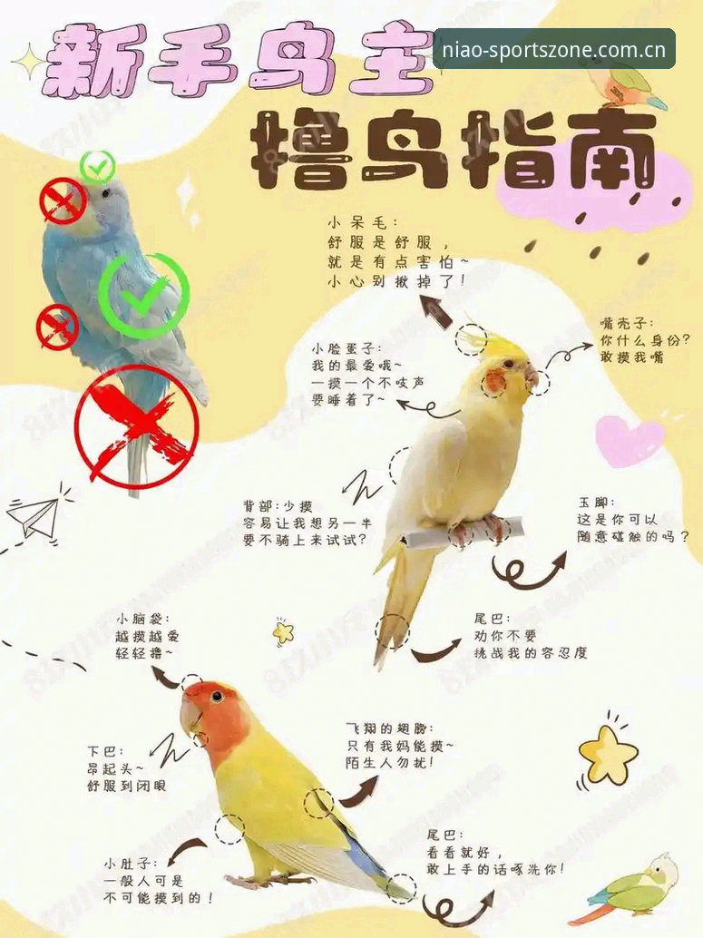 最新小鸟体育靠谱吗 揭秘最新小鸟体育靠谱吗:新手必读的六大真相与实操指南